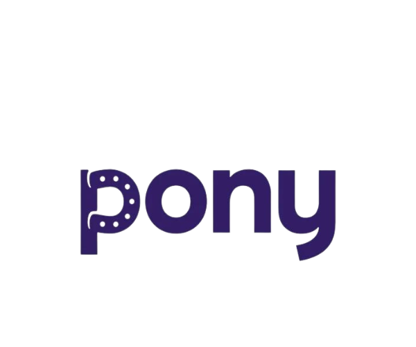 pony (10)